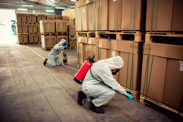 Best Termite Control Services  in Oakwood, GA