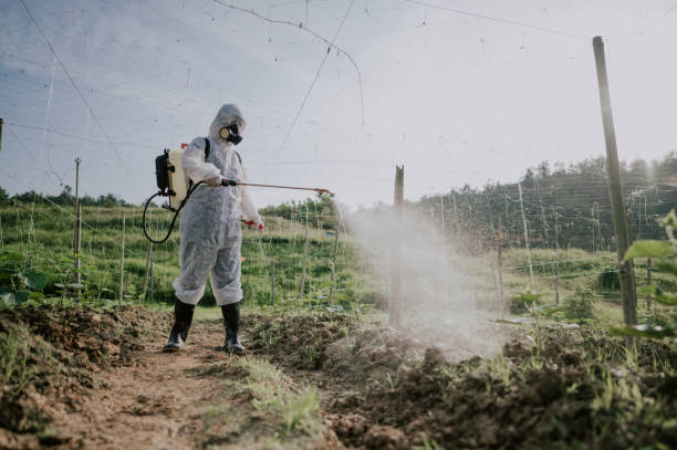 Best Commercial Pest Control Services  in Oakwood, GA
