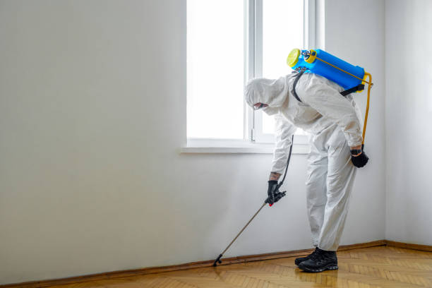 Best Rat Extermination Near Me  in Oakwood, GA