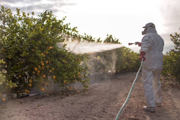 Best Ant Control Services  in Oakwood, GA