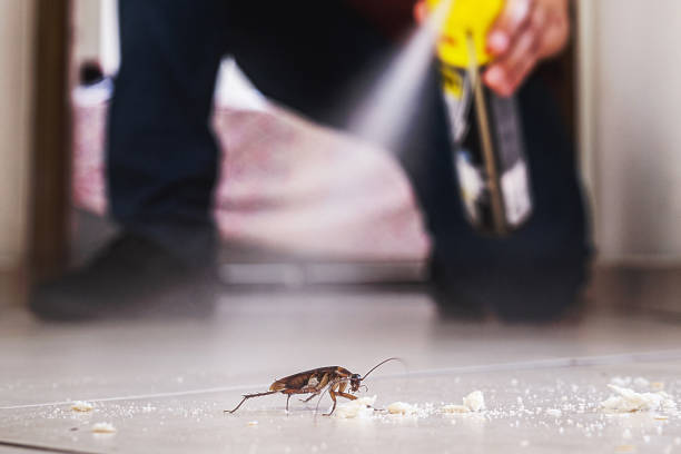 Wildlife Control Services in Oakwood, GA