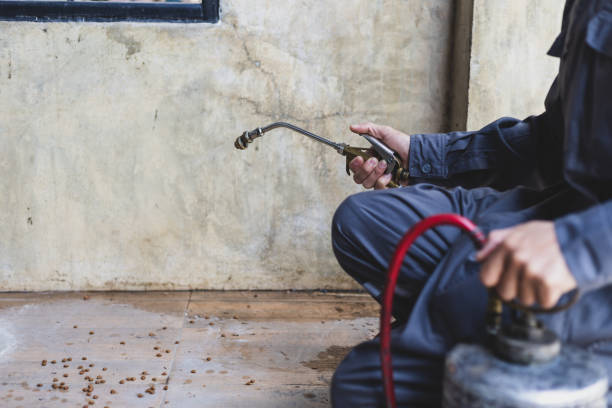 Best Best Pest Control Companies  in Oakwood, GA
