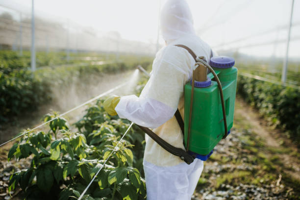 Best Flea Control Services  in Oakwood, GA
